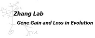 Welcome to ZhangLab!